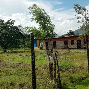 Kilimambogo 50*100 Plots for 400,000