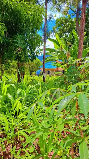 Kilimambogo 50*100 Plots for 400,000