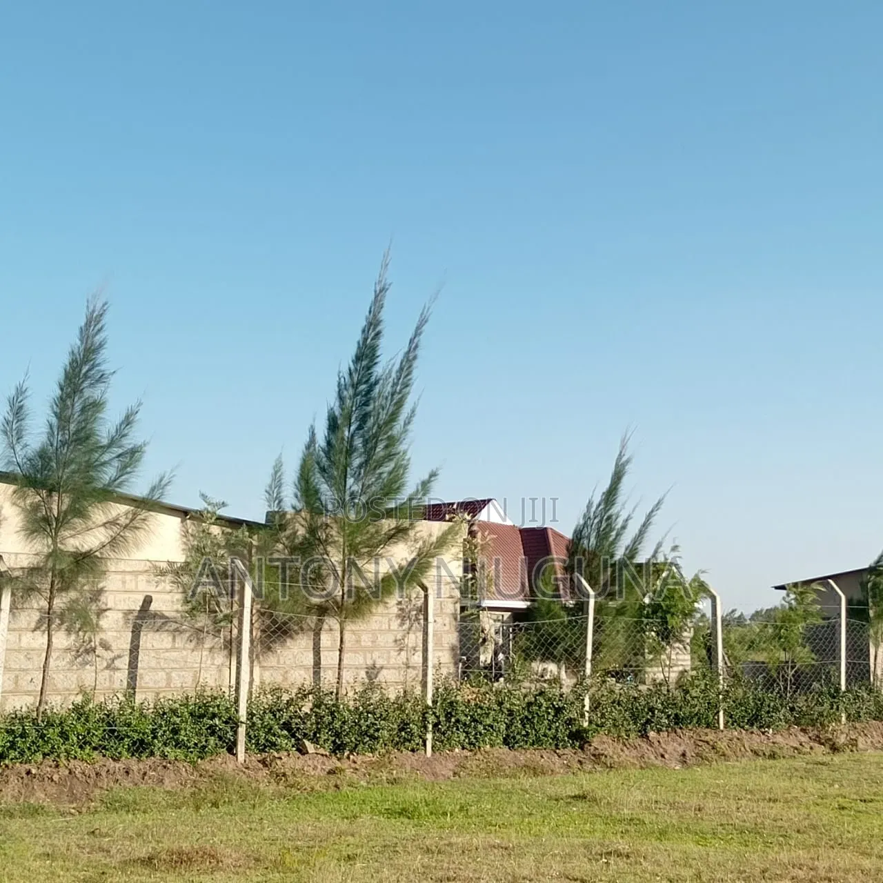 Kilimambogo 50*100 Plots for 400,000