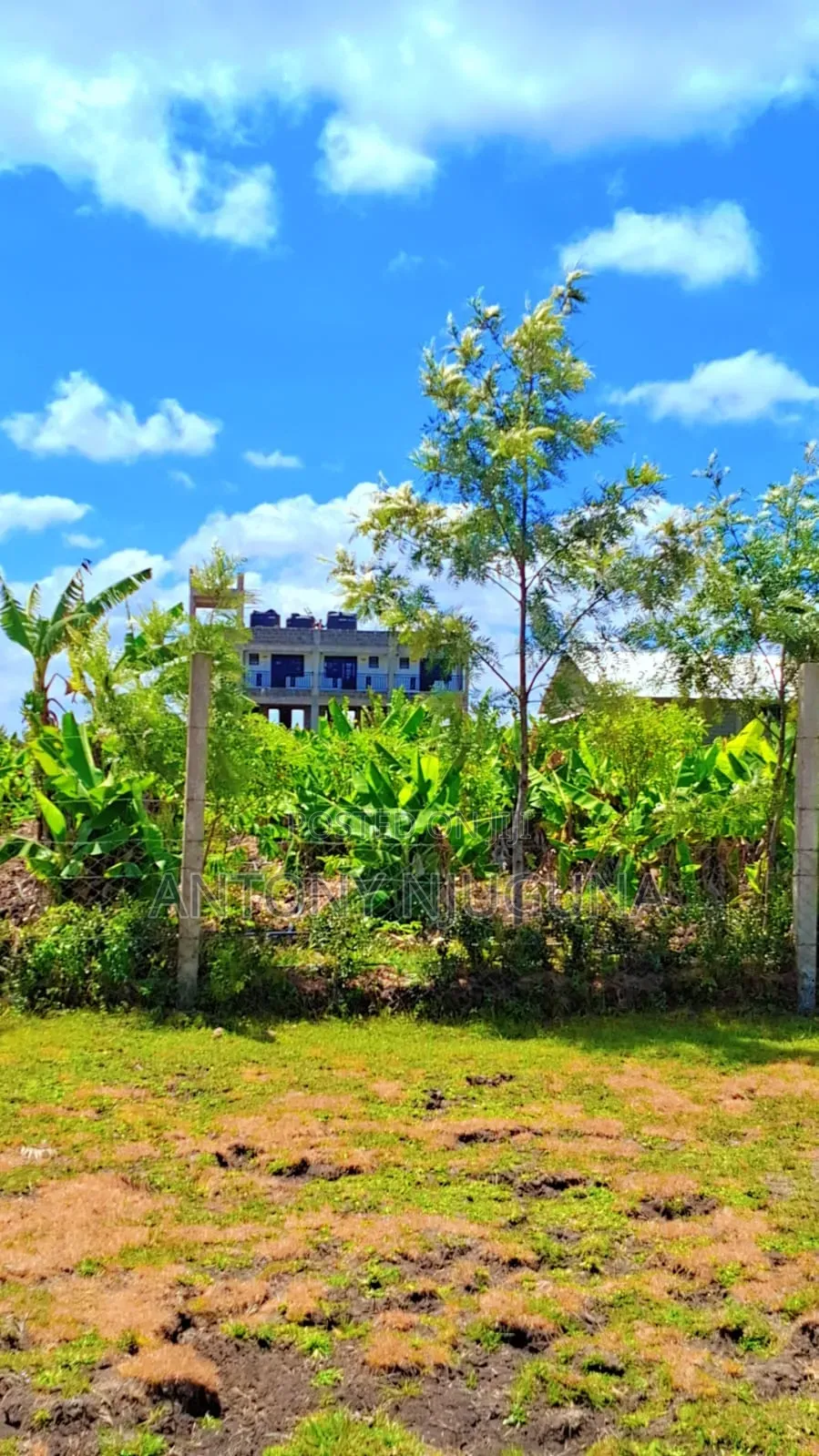 Kilimambogo 50*100 Plots for 400,000
