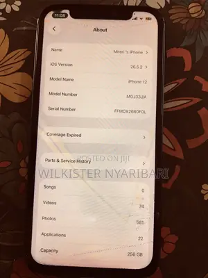 Apple iPhone 12 256 GB Blue