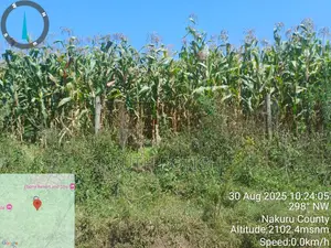 Prime Land Alert – Invest in Nakuru's Fast-Growing Ngata Area!