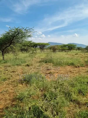 Prime 3.25-Acre Uncut Land Block (26 Plots) in Kitui