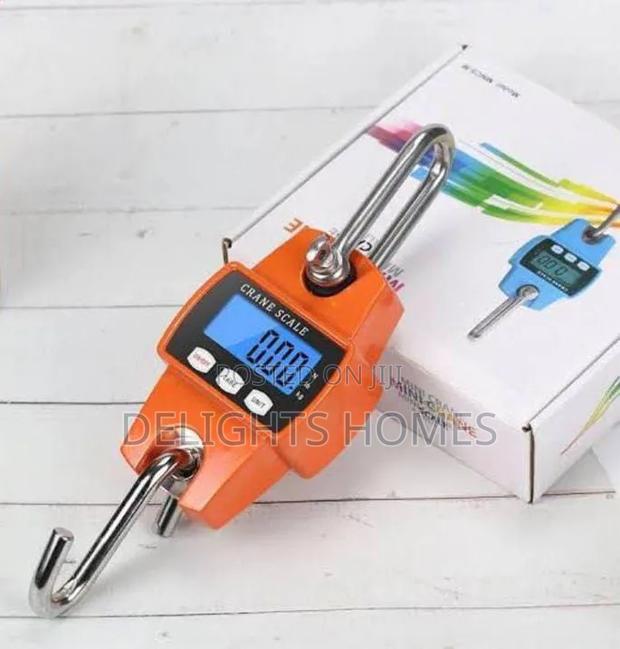 300kg Mini Crane Scale_dav