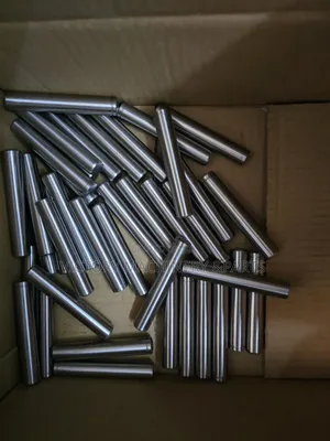 2525/14m20 Pump Piston for Carwash
