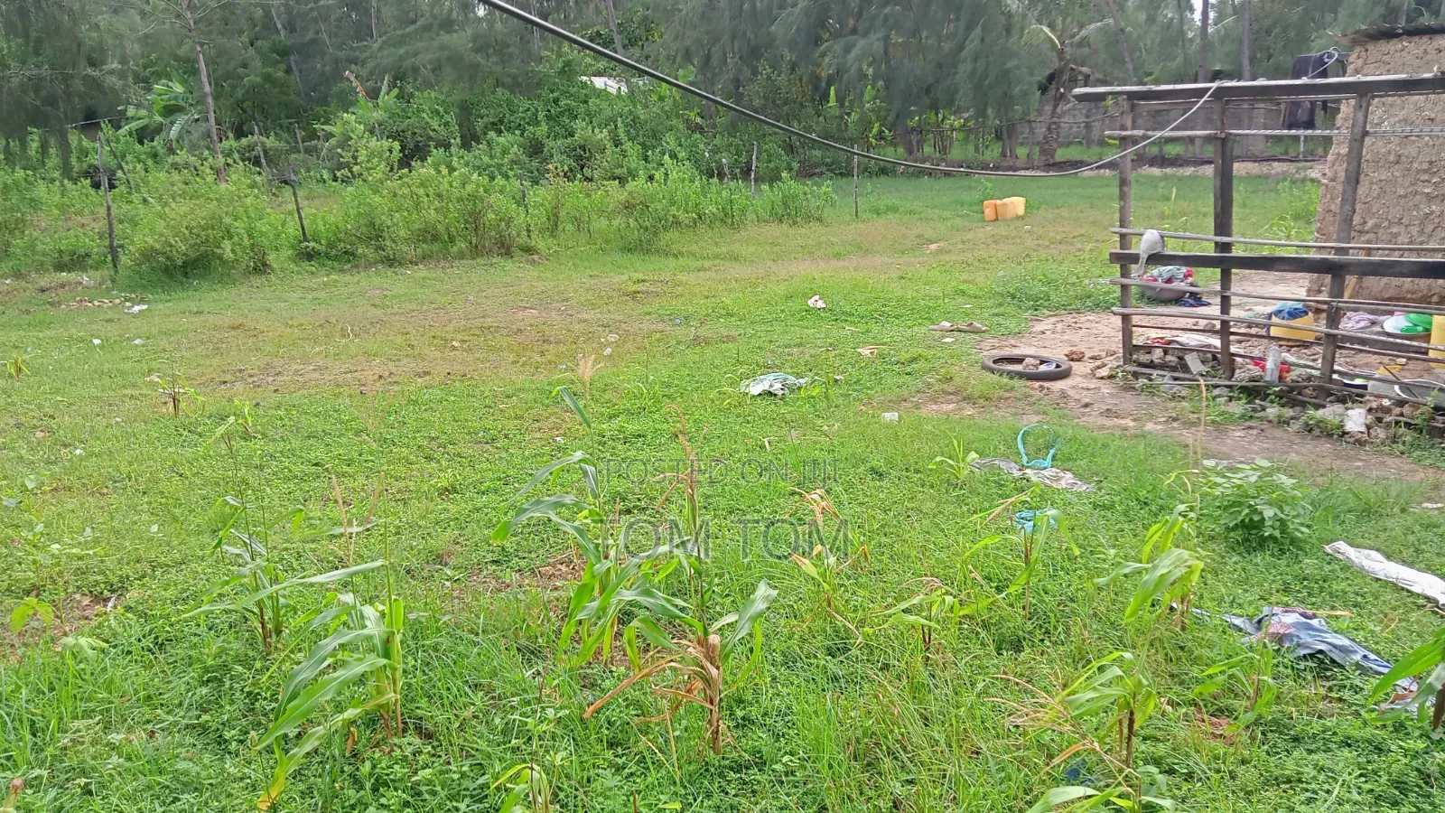 50/50 Near Beach Plot