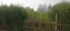 Prime Plot for Sale
