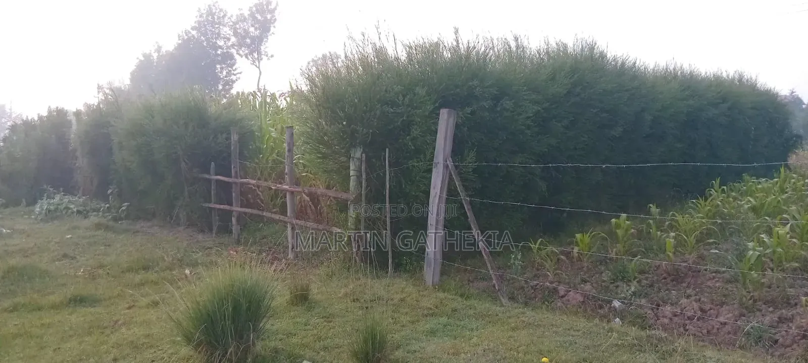 Prime Plot for Sale