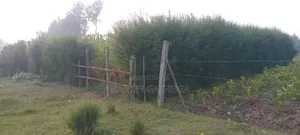 Prime Plot for Sale