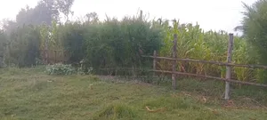 Prime Plot for Sale