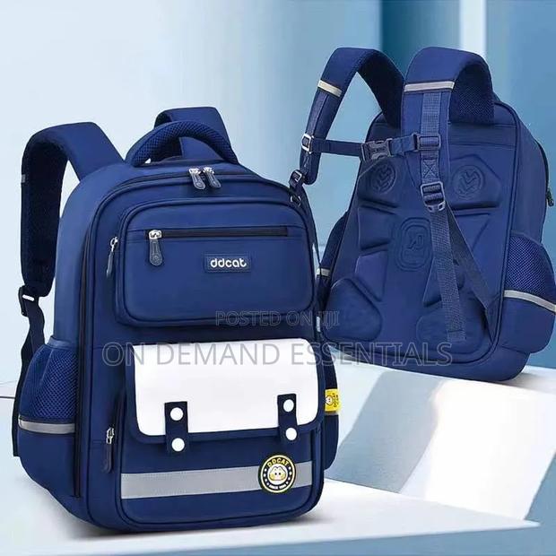 Waterproof Pink and Blue Orthopedic Backpack Size 42*20*30cm - main view
