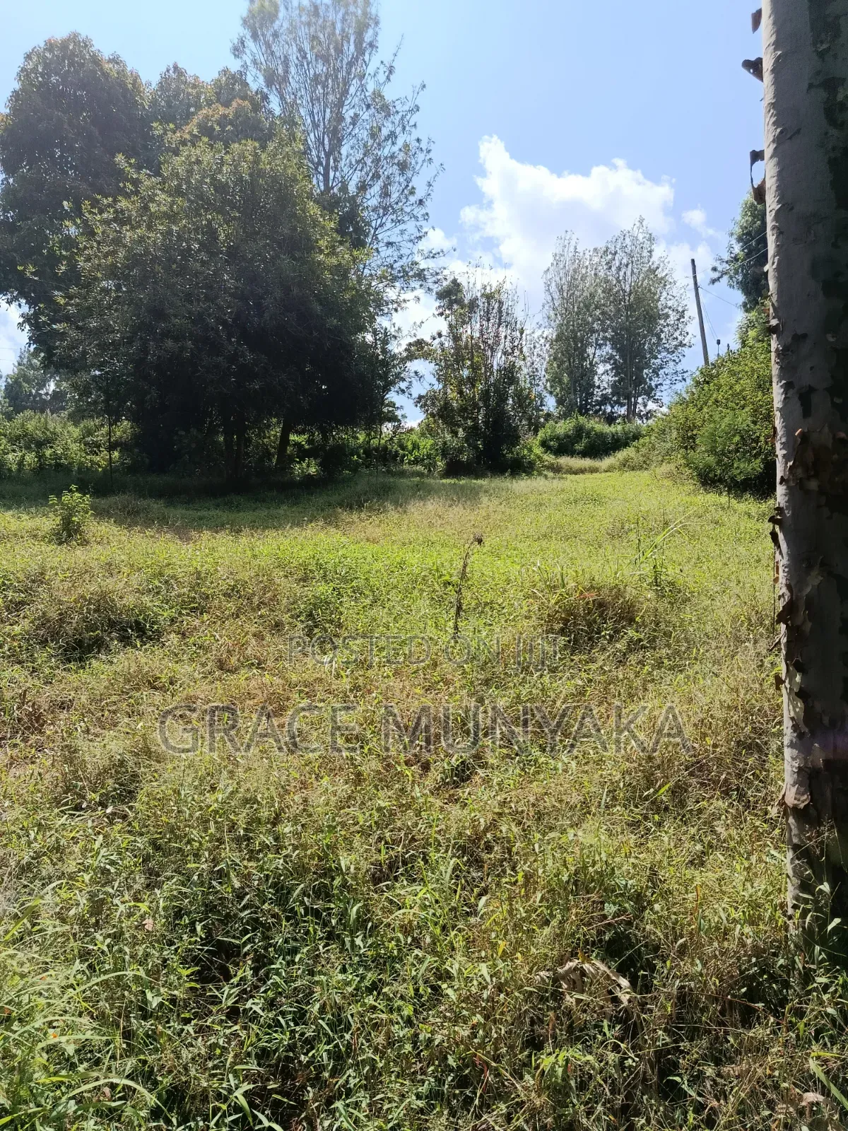 1/8 Acre Classic Nyeri Town