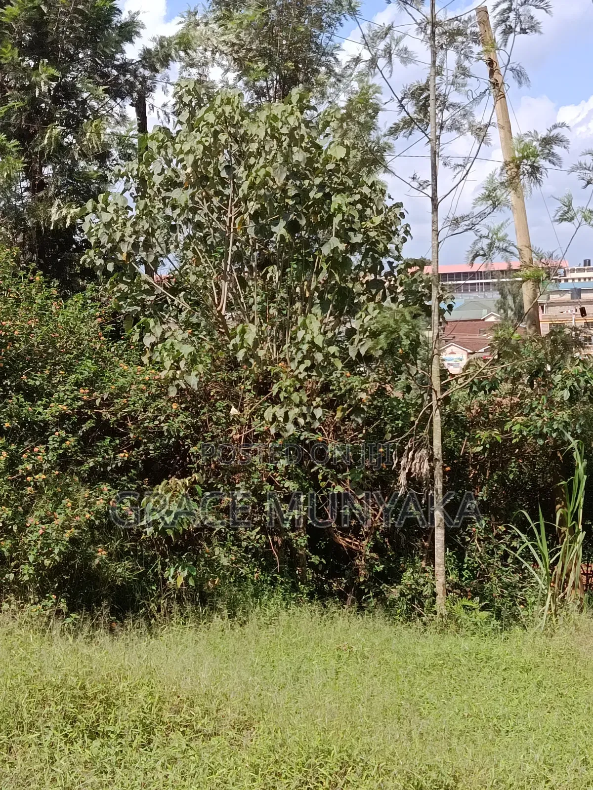 1/8 Acre Classic Nyeri Town