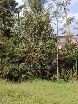 1/8 Acre Classic Nyeri Town