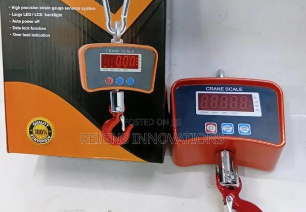 Electronic Crane Scale