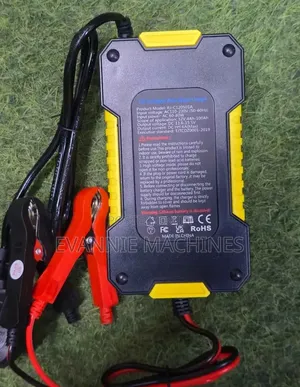 Intelligent Battery Charger 12v