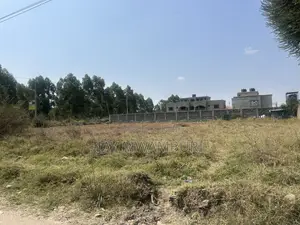 1/2 Acre on Tarmac Syokimau