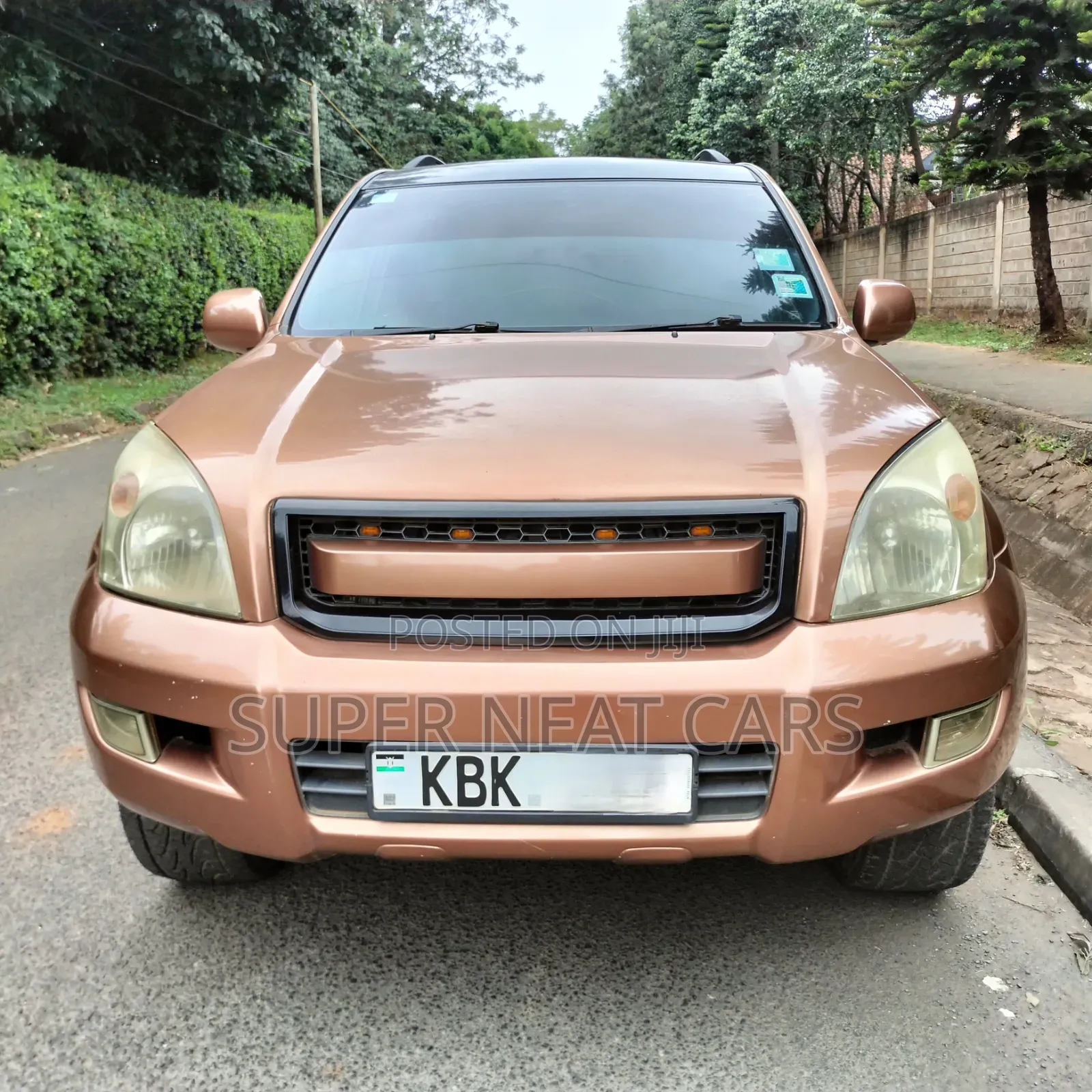 Toyota Land Cruiser Prado 2009 Brown