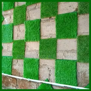 Wall Covering Grass Carpet