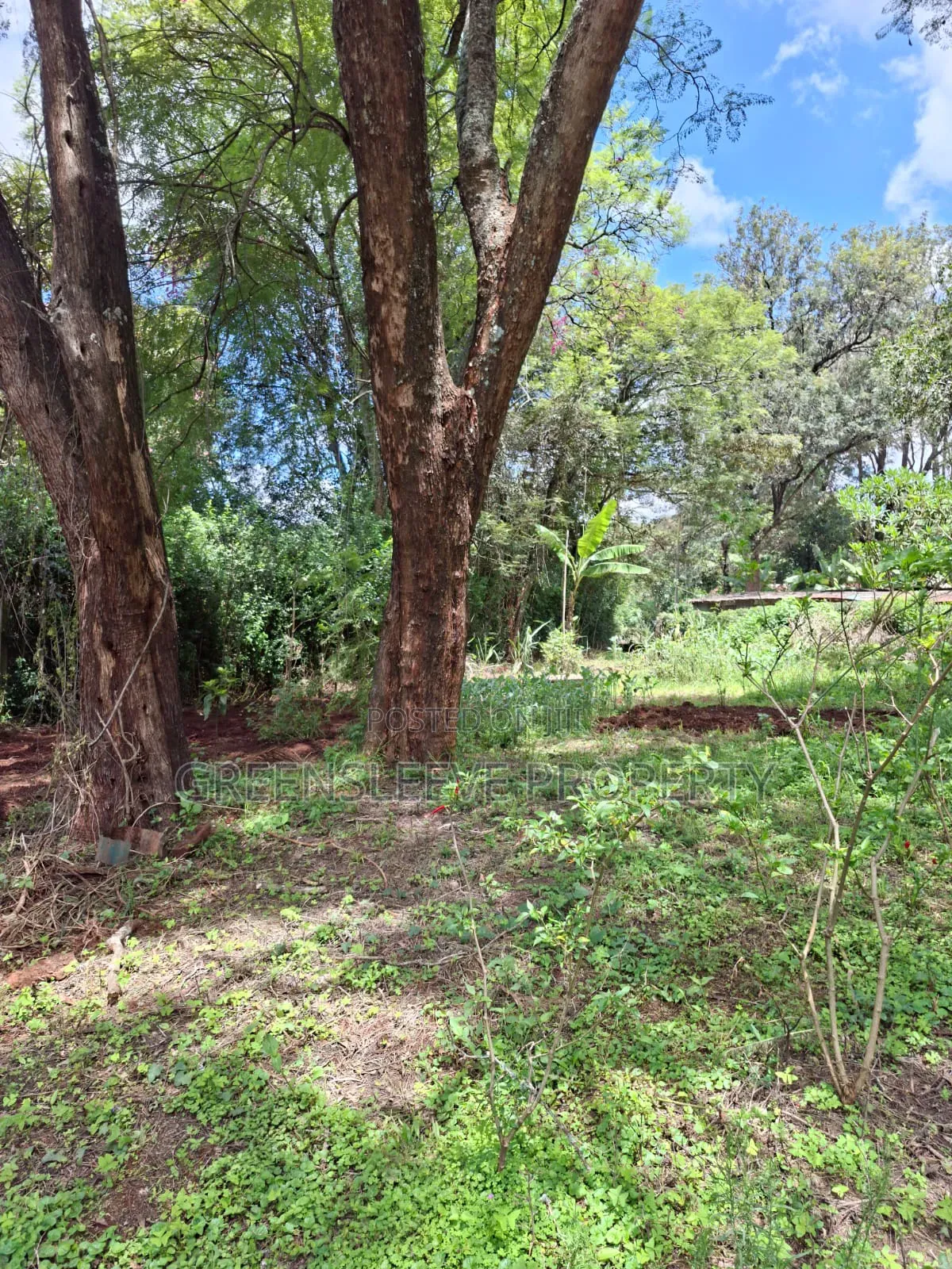 Land for Sale