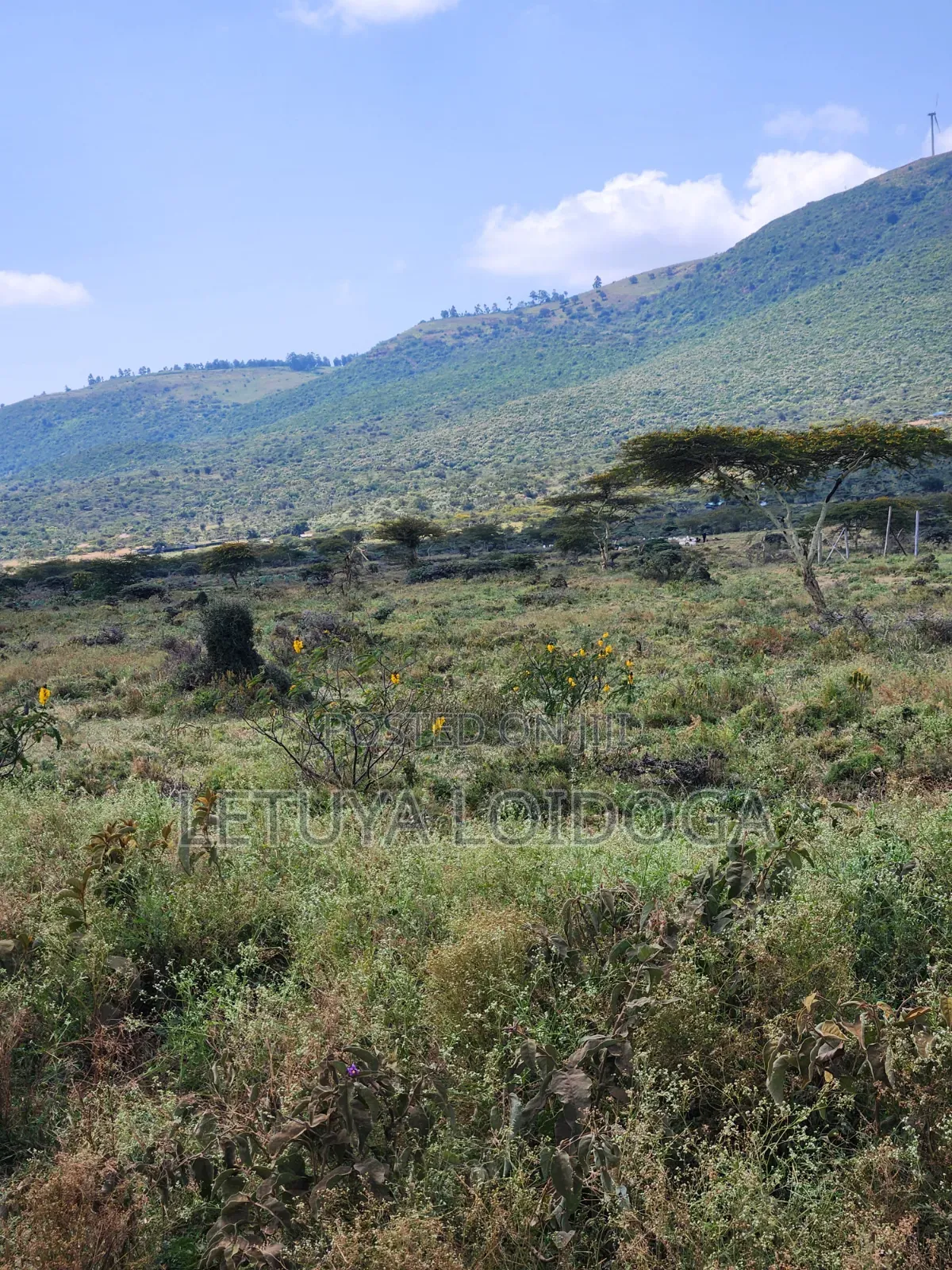 20 Acres Ngong,Kimuka, Ole Sakuda Road