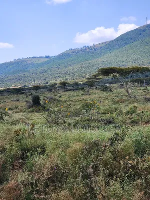 20 Acres Ngong,Kimuka, Ole Sakuda Road