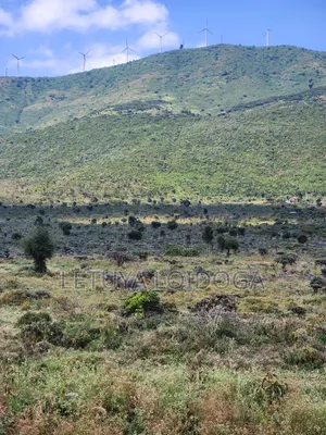 20 Acres Ngong,Kimuka, Ole Sakuda Road