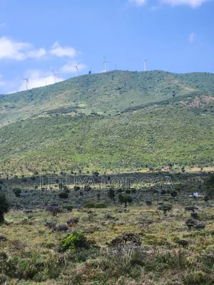 20 Acres Ngong,Kimuka, Ole Sakuda Road