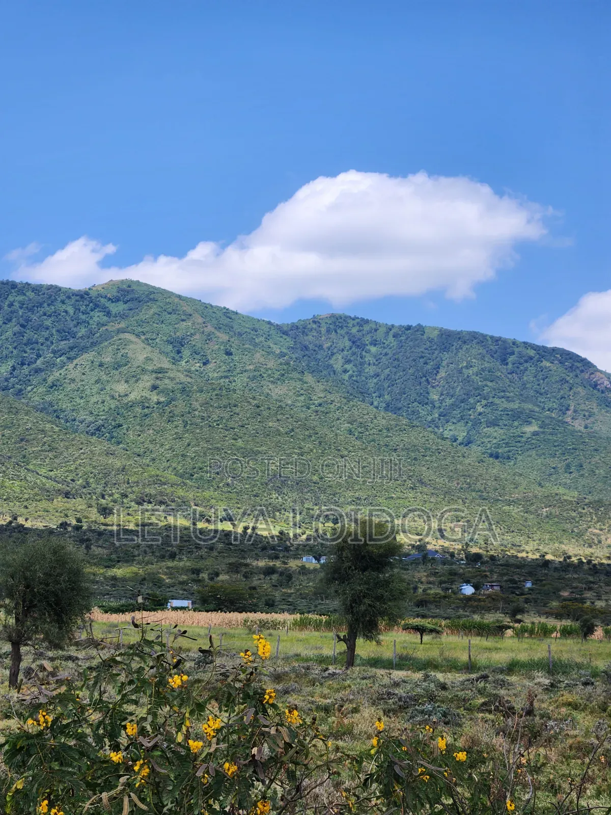 20 Acres Ngong,Kimuka, Ole Sakuda Road