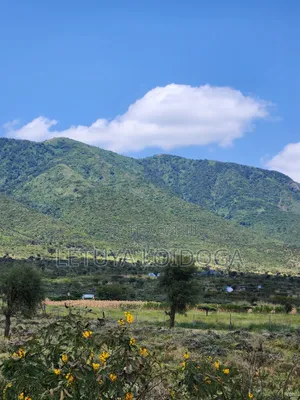 20 Acres Ngong,Kimuka, Ole Sakuda Road