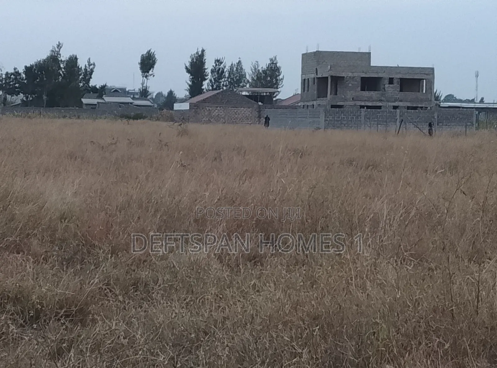 50 by 100 Plot Selling at Kantafu