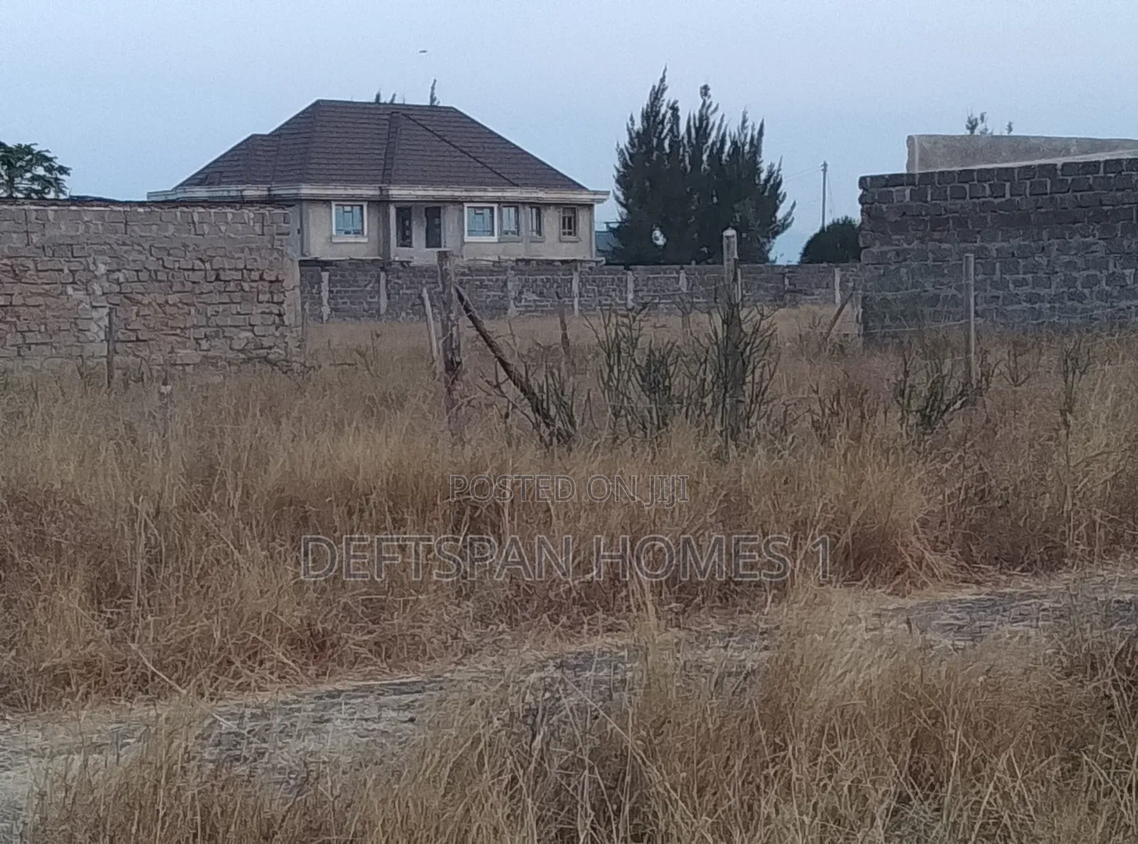 50 by 100 Plot Selling at Kantafu