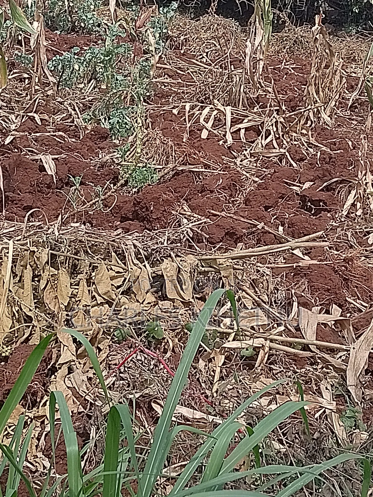 Plot for Sale