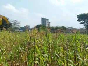 Plot for Sale