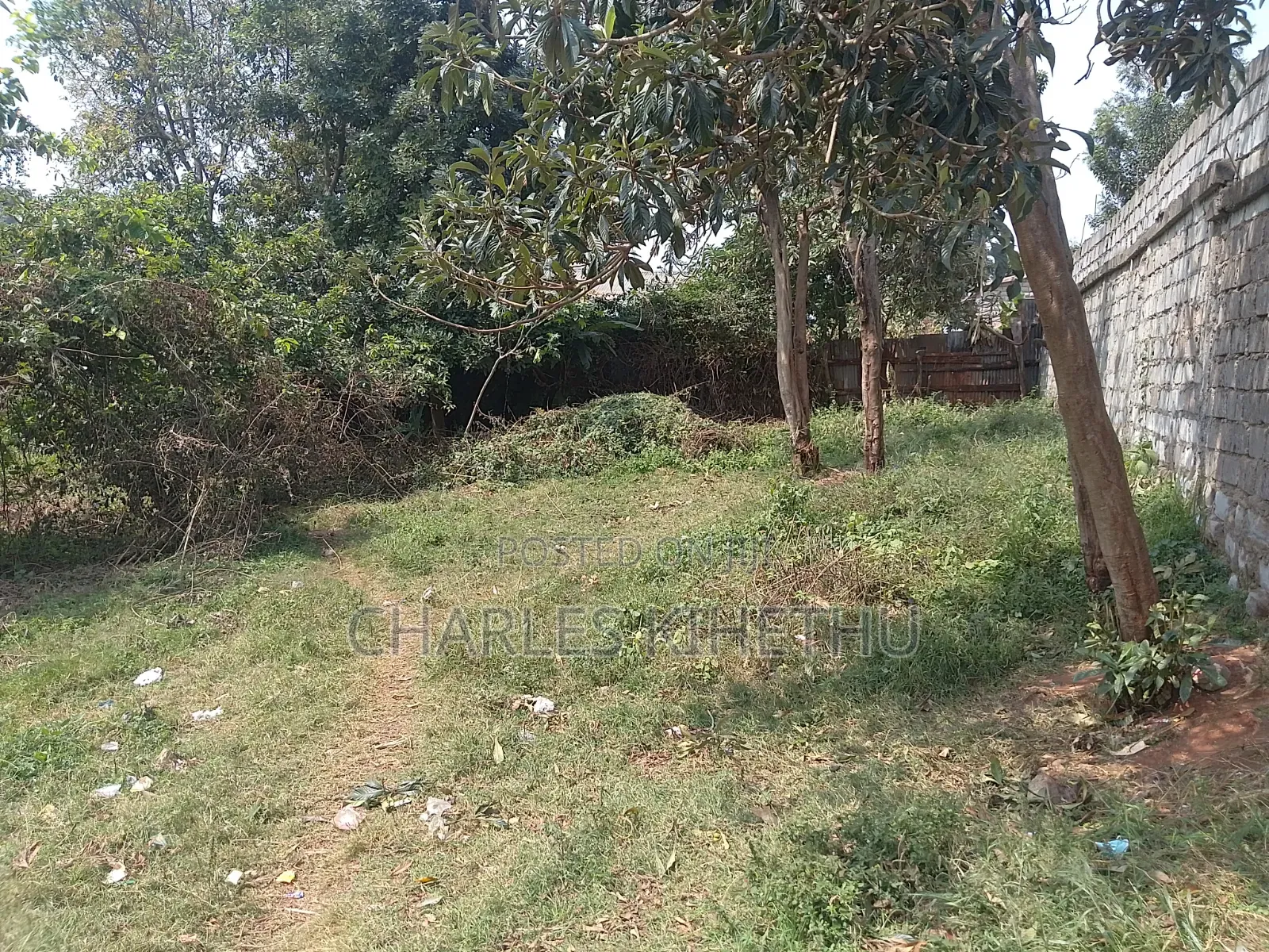 Plot for Sale