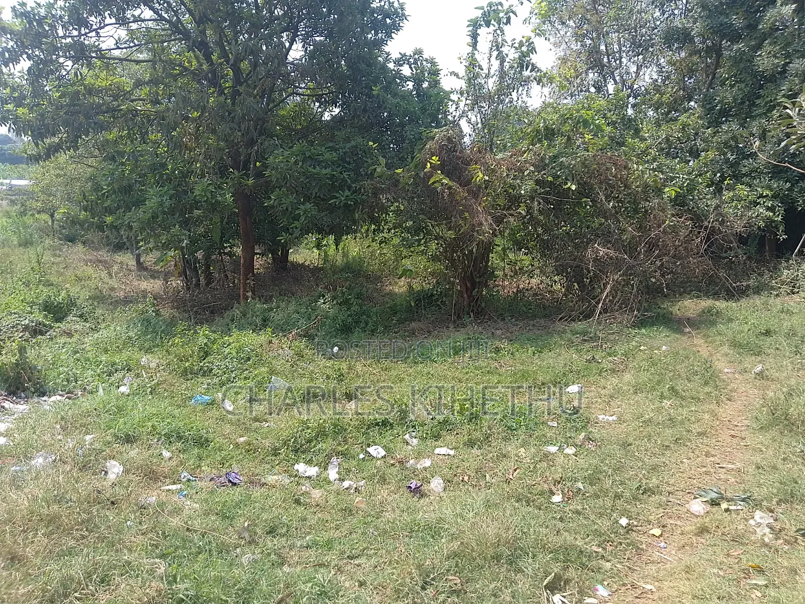 Plot for Sale