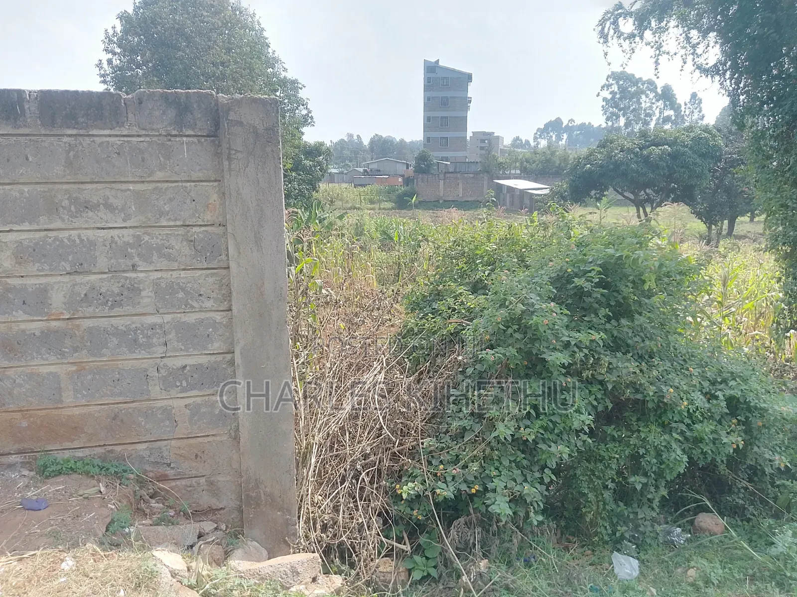 Plot for Sale