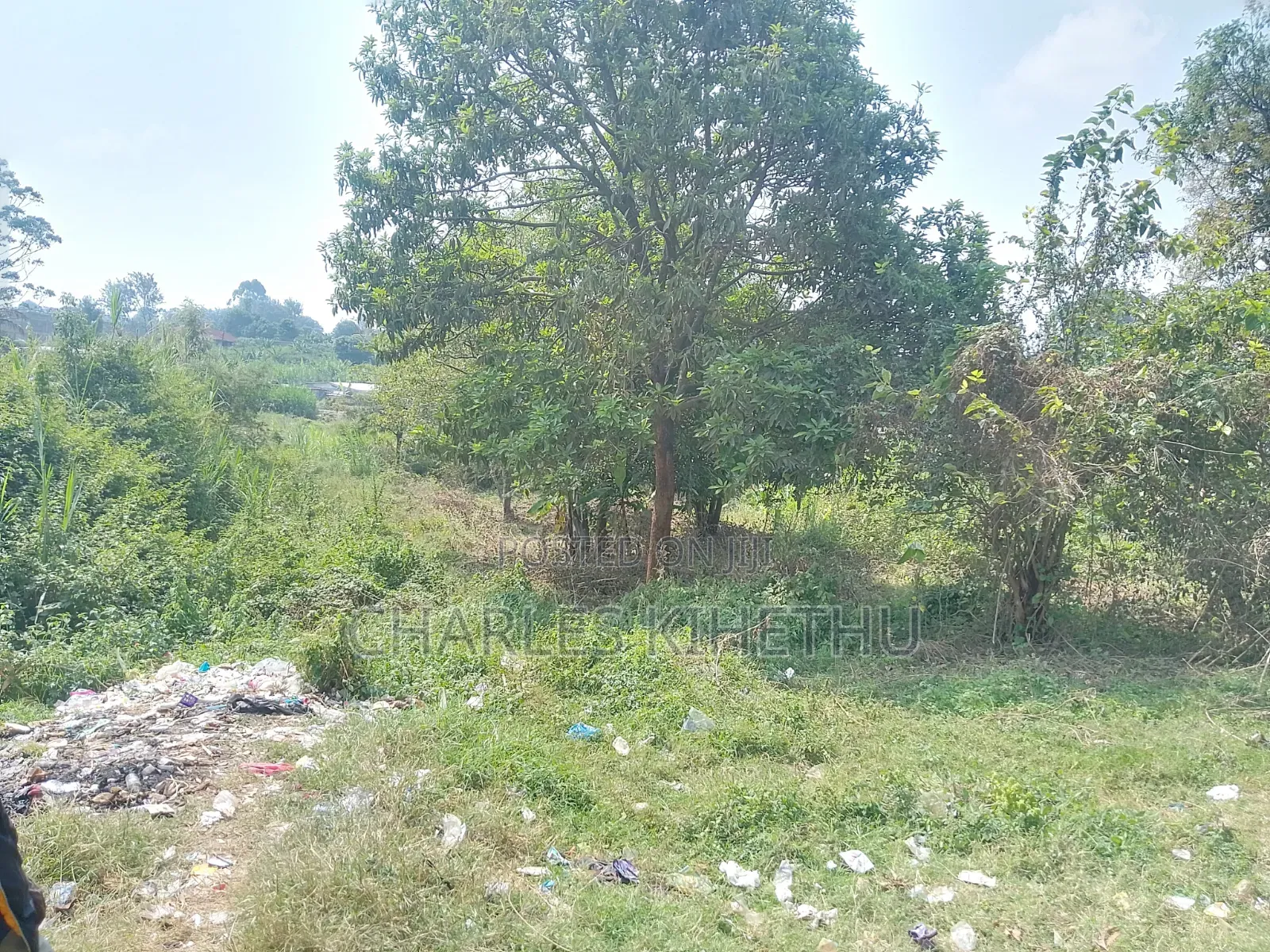 Plot for Sale