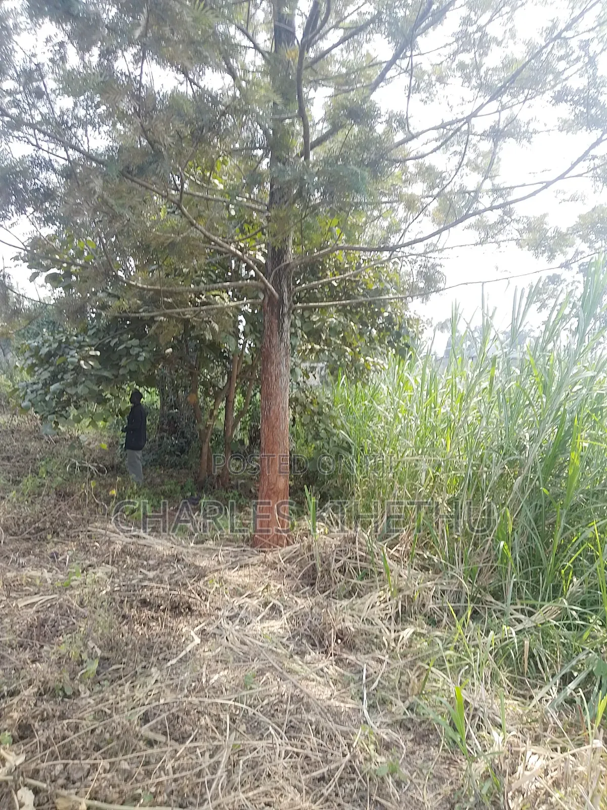 Plot for Sale