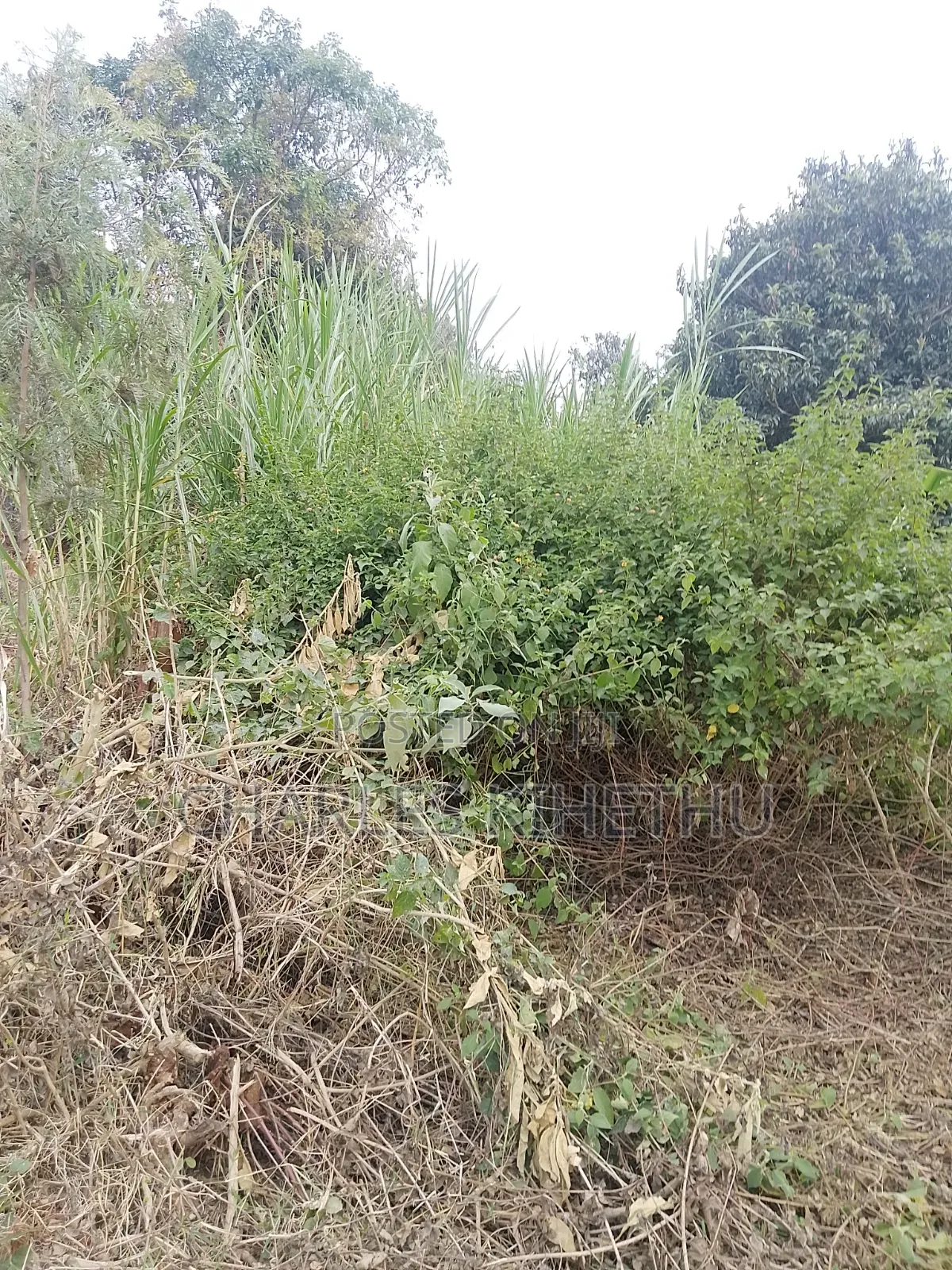 Plot for Sale