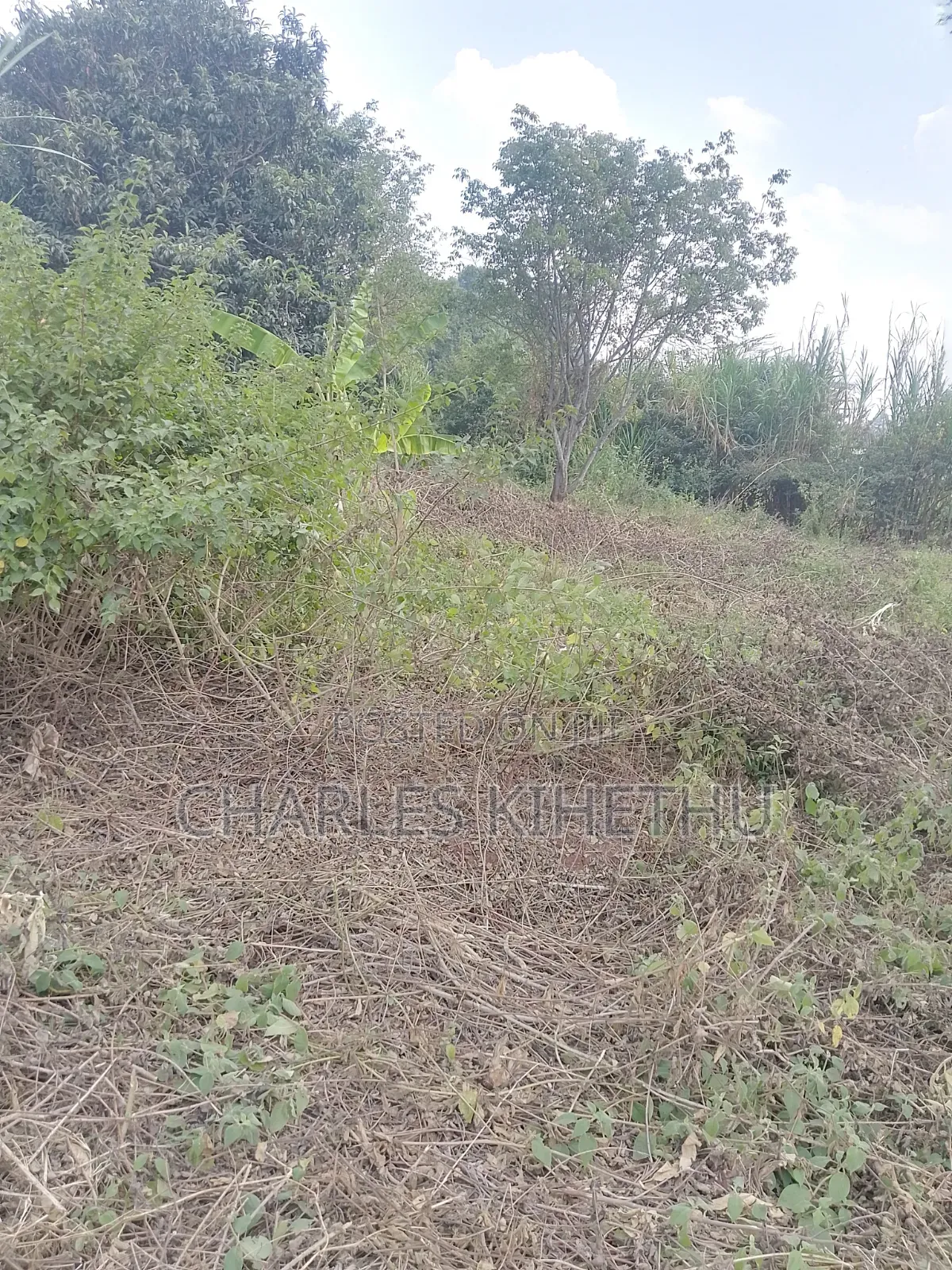 Plot for Sale
