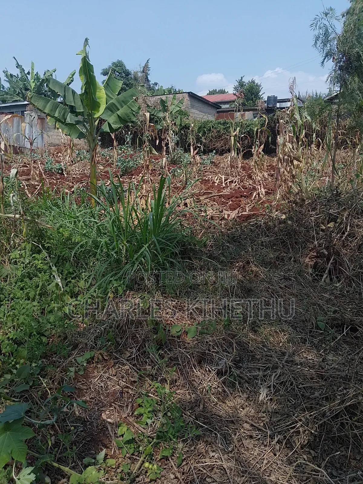 Plot for Sale