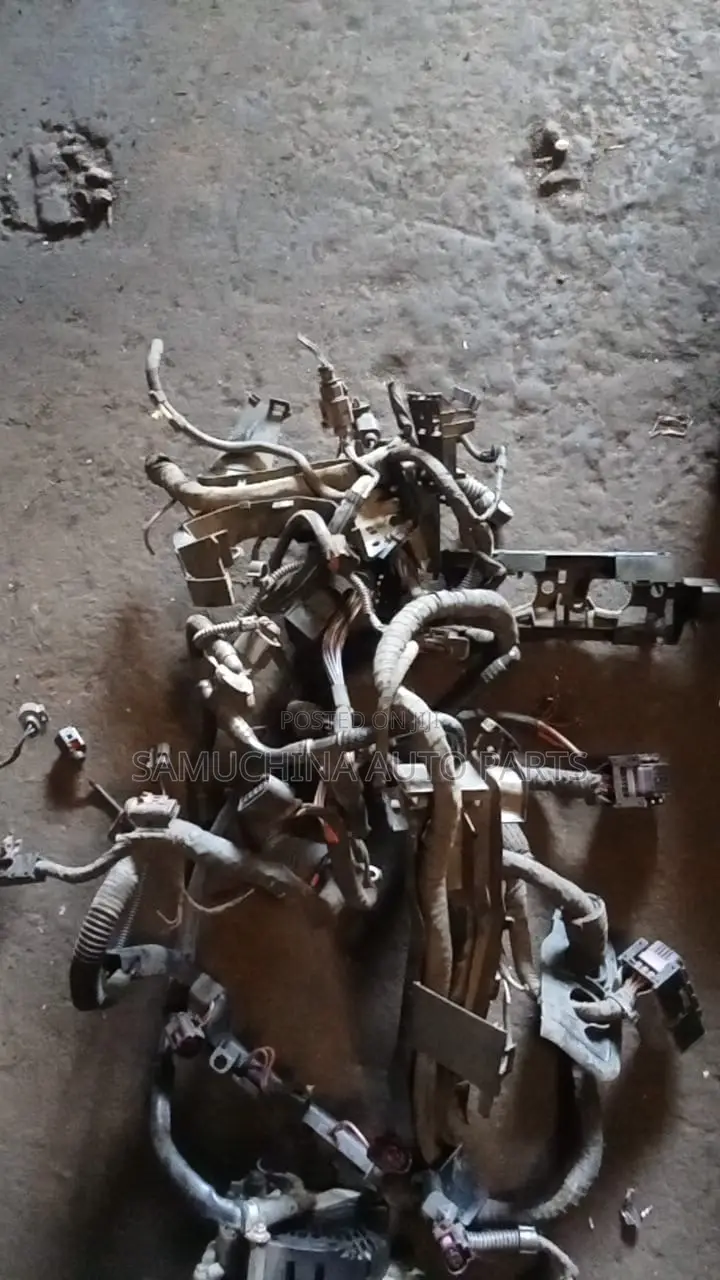 Engine Harness Volkswagen Golf Cav