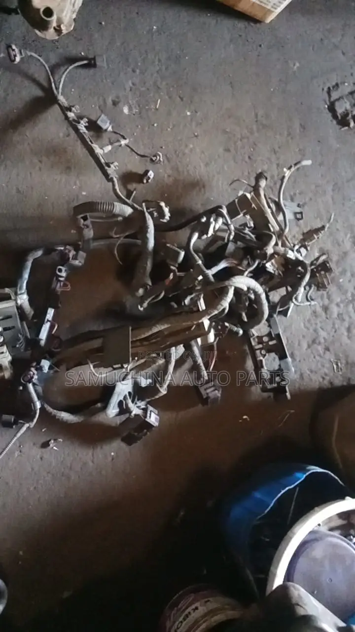 Engine Harness Volkswagen Golf Cav