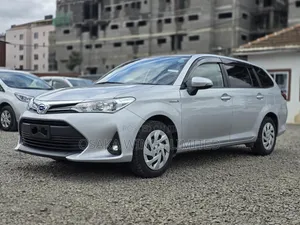 Toyota Corolla Fielder 2019