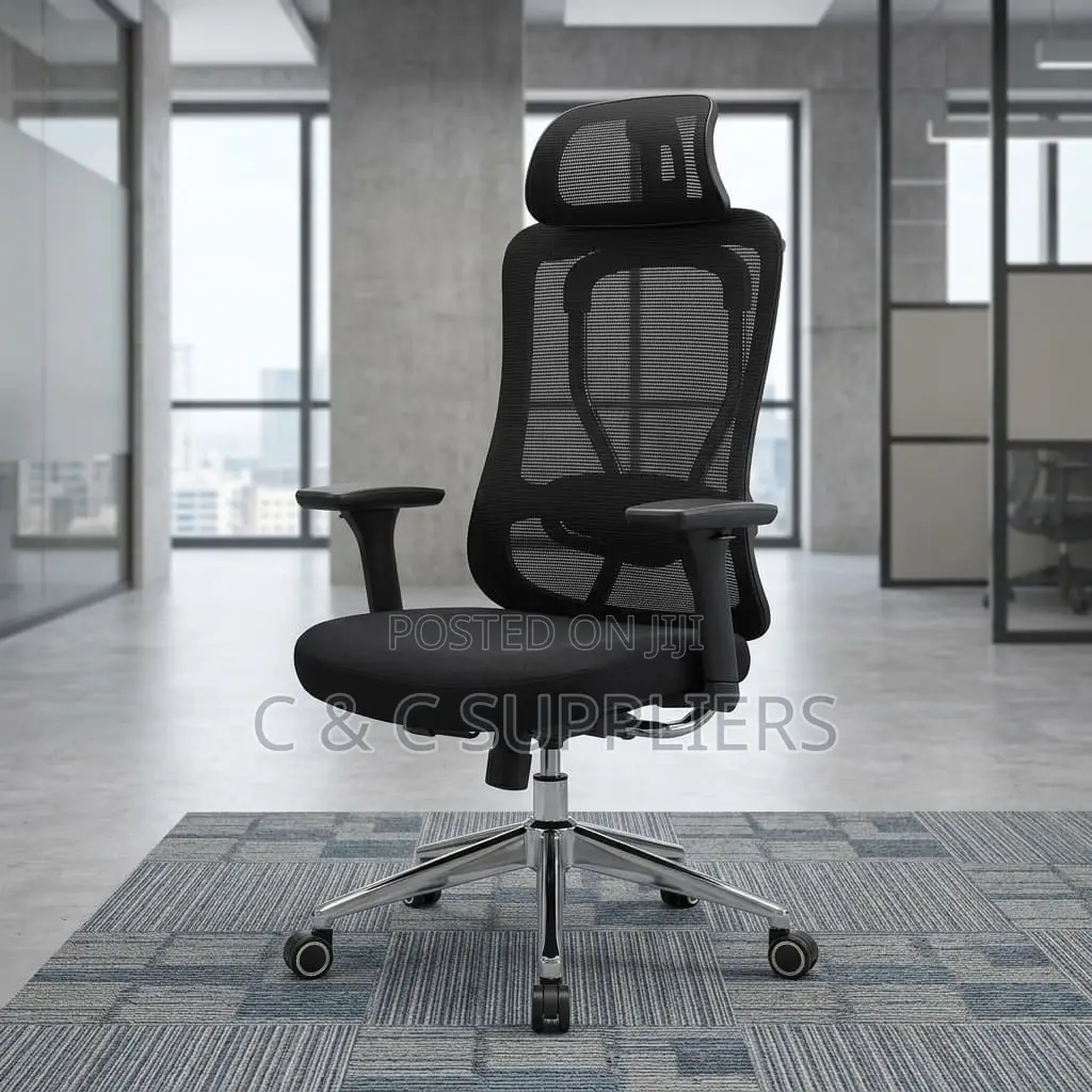 Modern Orthopedic Mesh Boss Chair