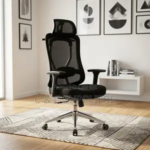 Modern Orthopedic Mesh Boss Chair