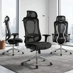 Modern Orthopedic Mesh Boss Chair