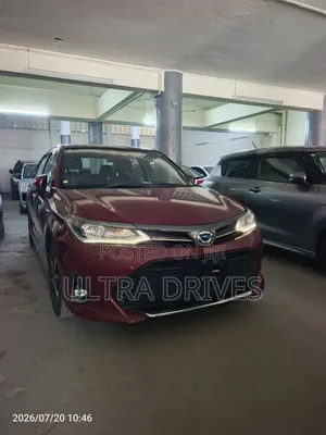 Toyota Axio 2019 Maroon