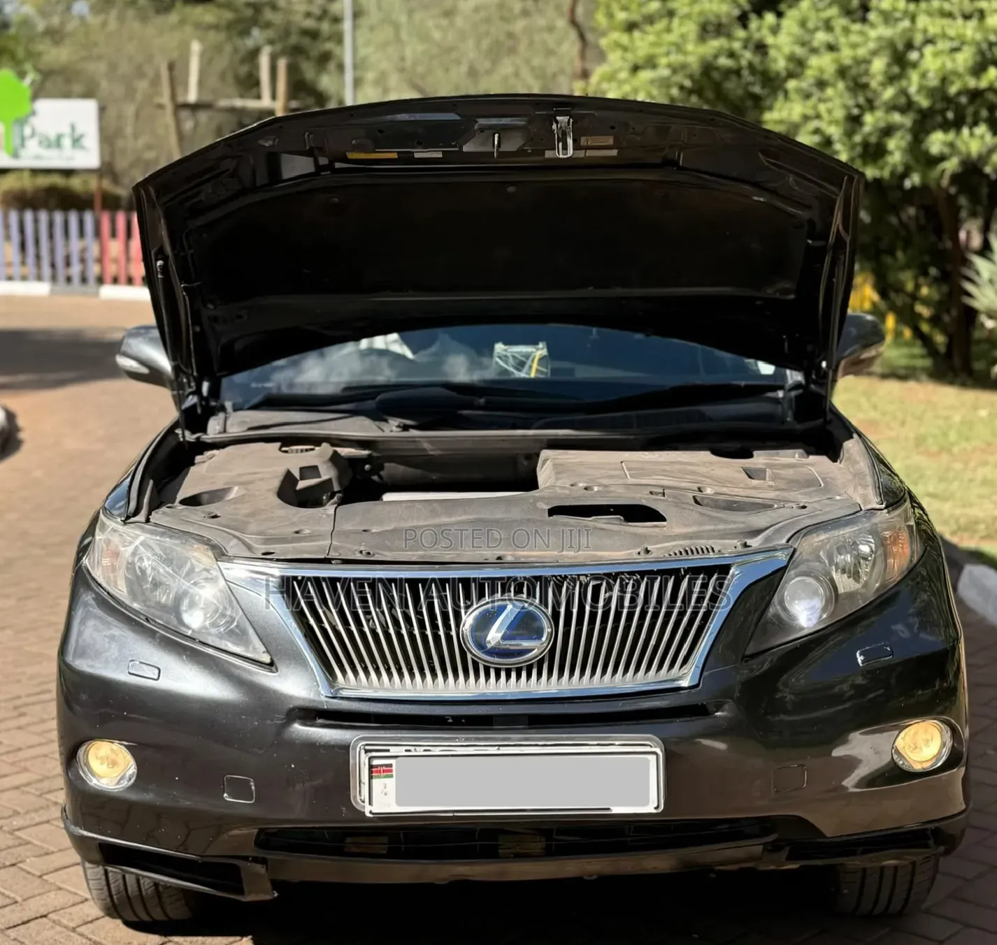 Lexus RX 2011 Blue